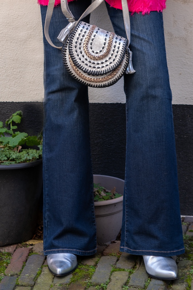 Silver bag Nooki