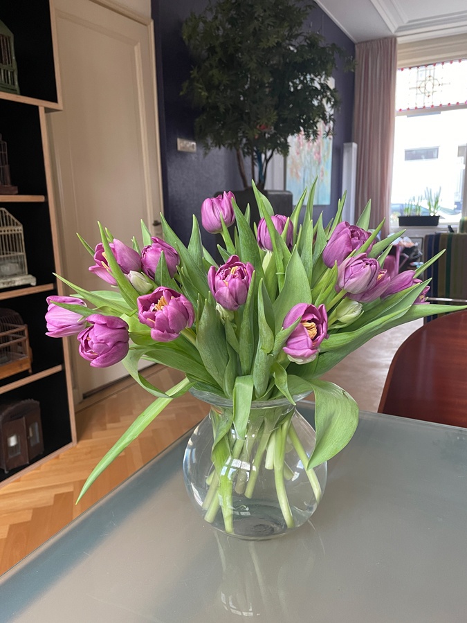 Tulips