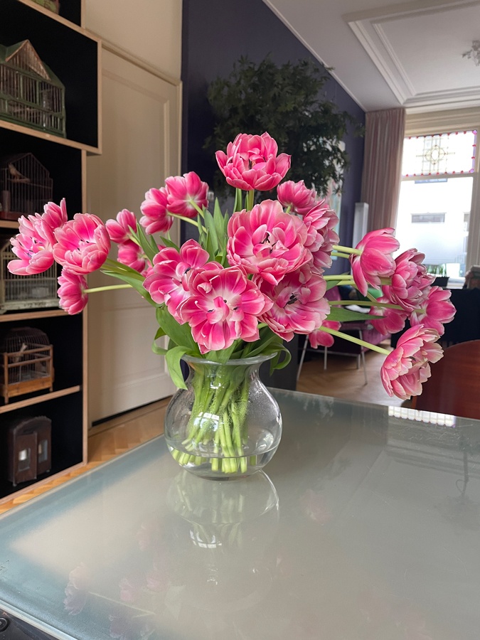 Tulips