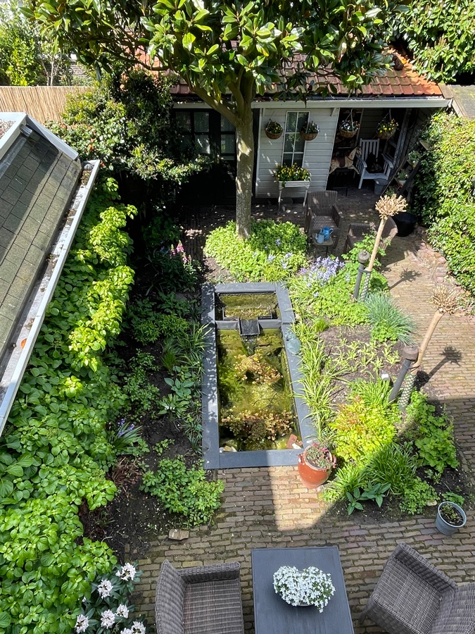 garden overview