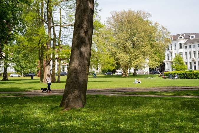 Kenaupark