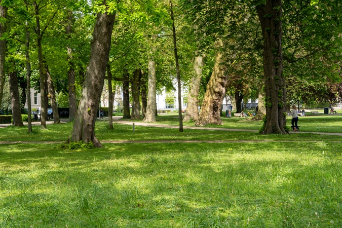 Kenaupark