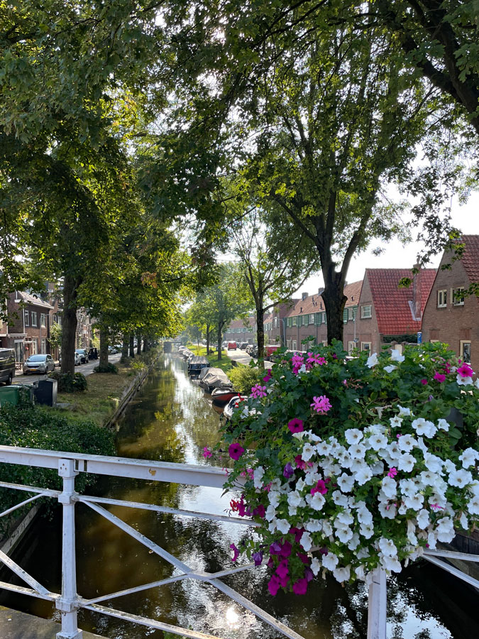 Bridge in summer