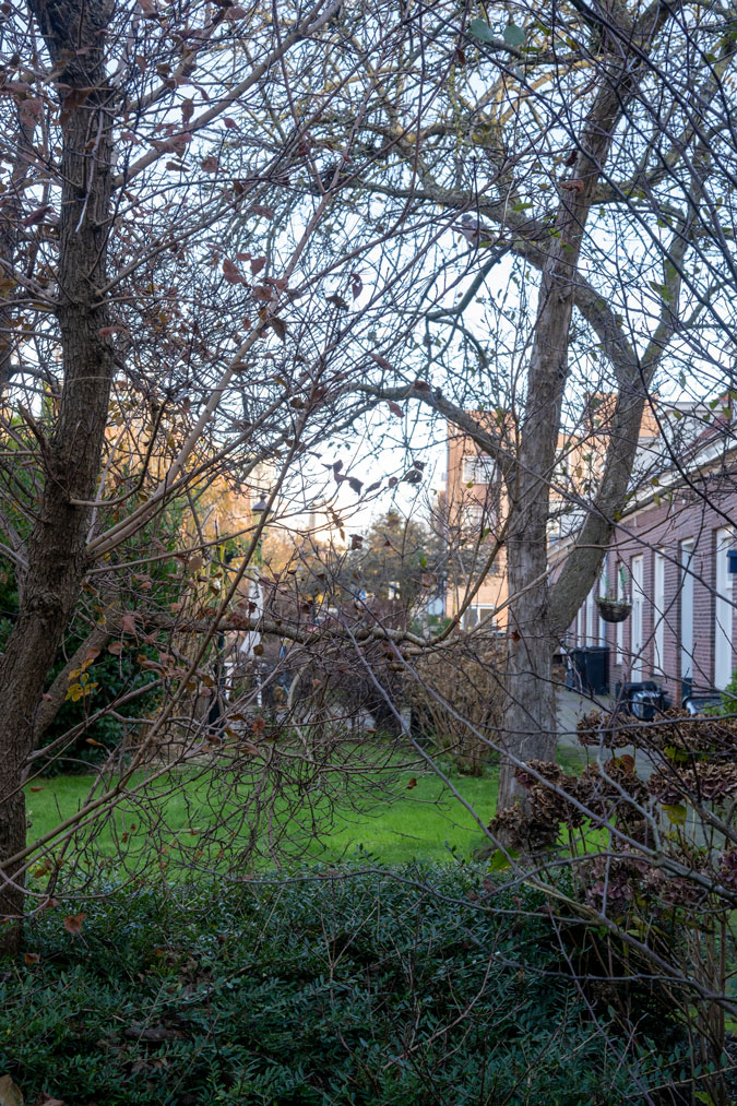 Almshouse courtyard